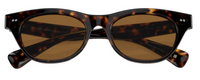 Lunettes de Soleil Oliver Peoples Avelin OV5541SU