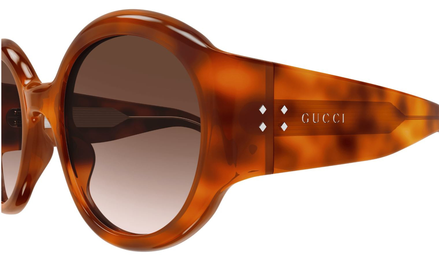 Gucci GG Logo GG2014S Sunglasses