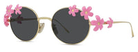 Lunettes de Soleil Loewe Signature LW40173U