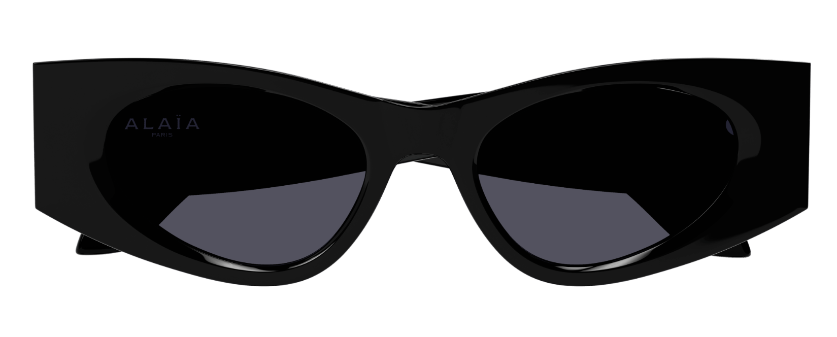 Azzedine Alaïa Lettering Logo AA0075S Sunglasses