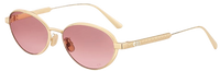 Zonnebrillen DIOR DiorCannage R1U