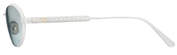 Zonnebrillen DIOR DiorCannage R1U