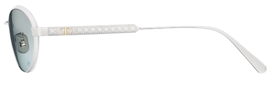 Zonnebrillen DIOR DiorCannage R1U