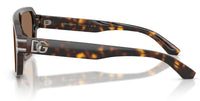 Dolce & Gabbana DG4507 Sunglasses