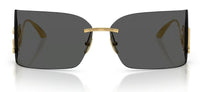 Dolce & Gabbana DG2319 Sunglasses