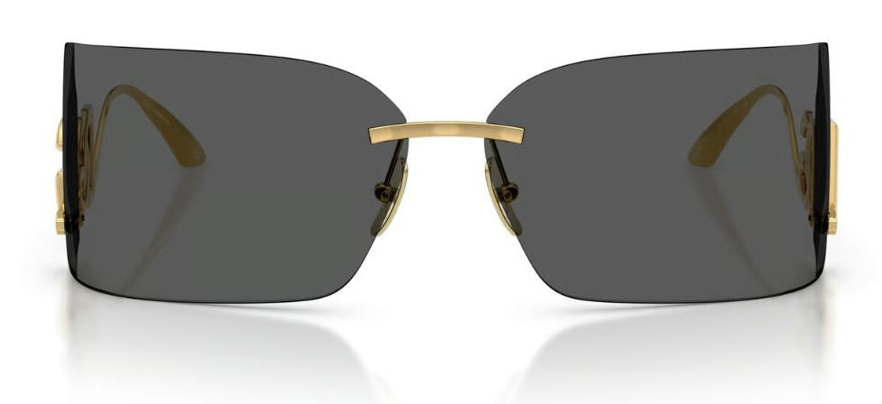 Dolce & Gabbana DG2319 Sunglasses