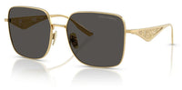 Dolce & Gabbana DG2310 Sunglasses