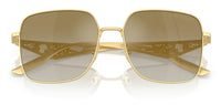 Dolce & Gabbana DG2310 Sunglasses