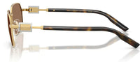 Dolce & Gabbana DG2316 Sunglasses