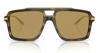 Dolce & Gabbana DG4477 Sunglasses