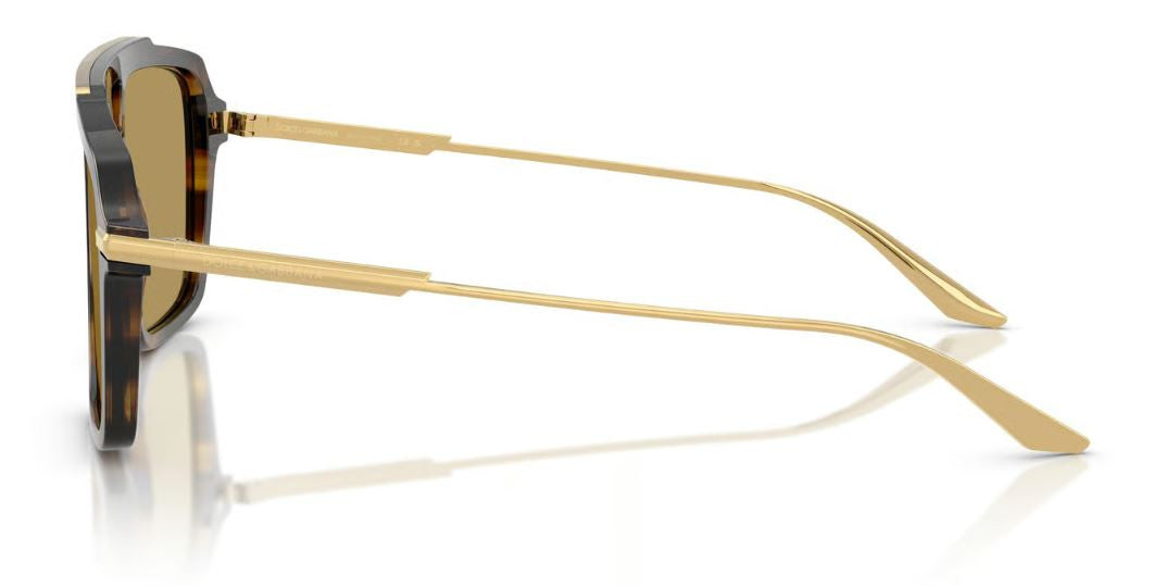 Dolce & Gabbana DG4477 Sunglasses