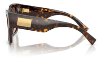 Dolce & Gabbana DG4478 Sunglasses