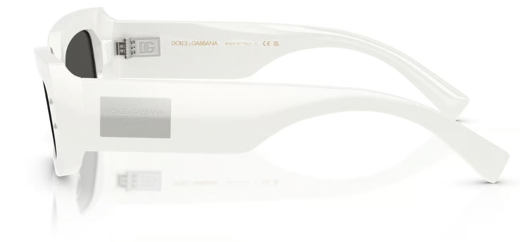 Dolce & Gabbana DG4479 Sunglasses