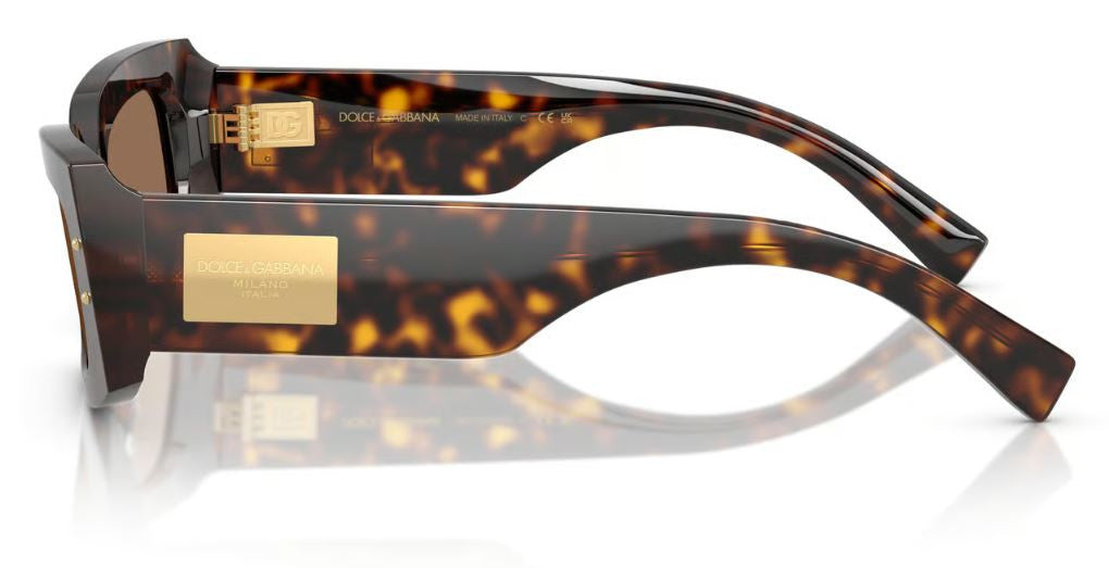 Dolce & Gabbana DG4479 Sunglasses