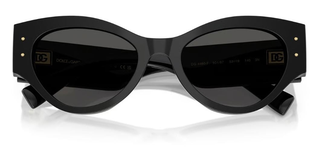 Dolce & Gabbana DG4480 Sunglasses