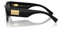Dolce & Gabbana DG4480 Sunglasses