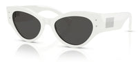 Dolce & Gabbana DG4480 Sunglasses