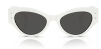 Dolce & Gabbana DG4480 Sunglasses