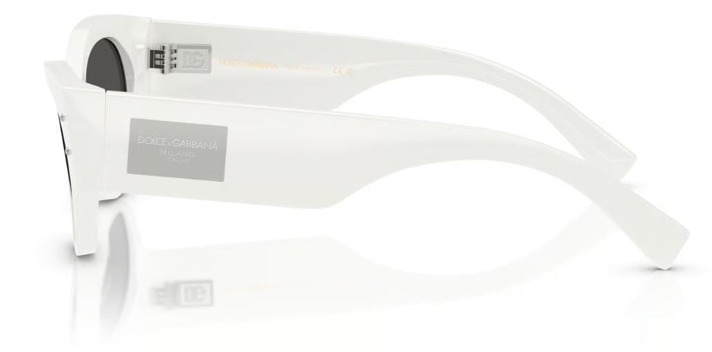 Dolce & Gabbana DG4480 Sunglasses