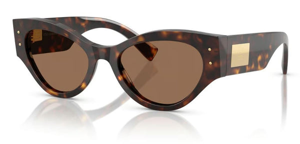 Dolce & Gabbana DG4480 Sunglasses