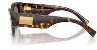 Dolce & Gabbana DG4480 Sunglasses