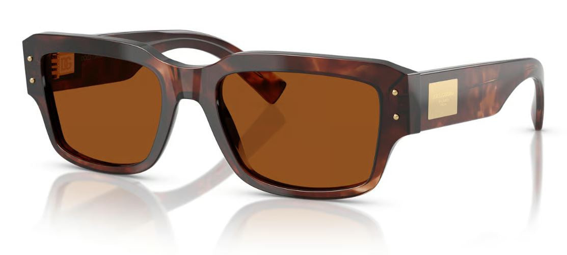 Dolce & Gabbana DG4483 Sunglasses