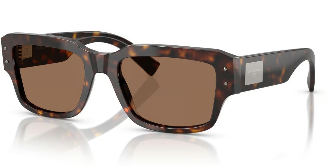 Dolce & Gabbana DG4483 Sunglasses