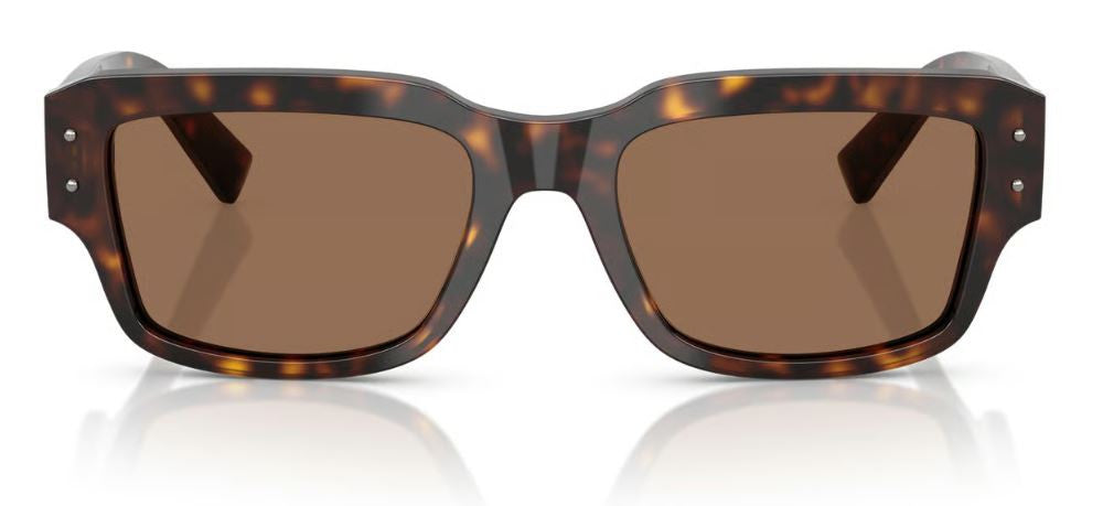 Dolce & Gabbana DG4483 Sunglasses
