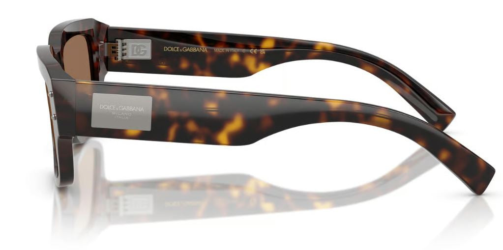 Dolce & Gabbana DG4483 Sunglasses