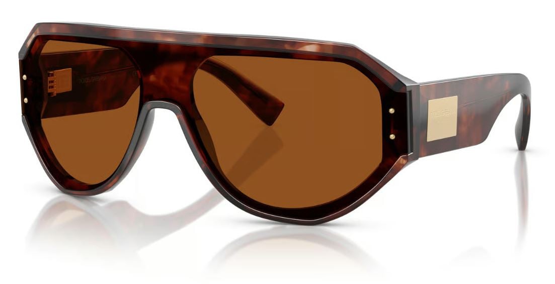 Dolce & Gabbana DG4481 Sunglasses