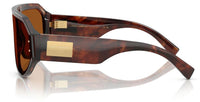 Dolce & Gabbana DG4481 Sunglasses