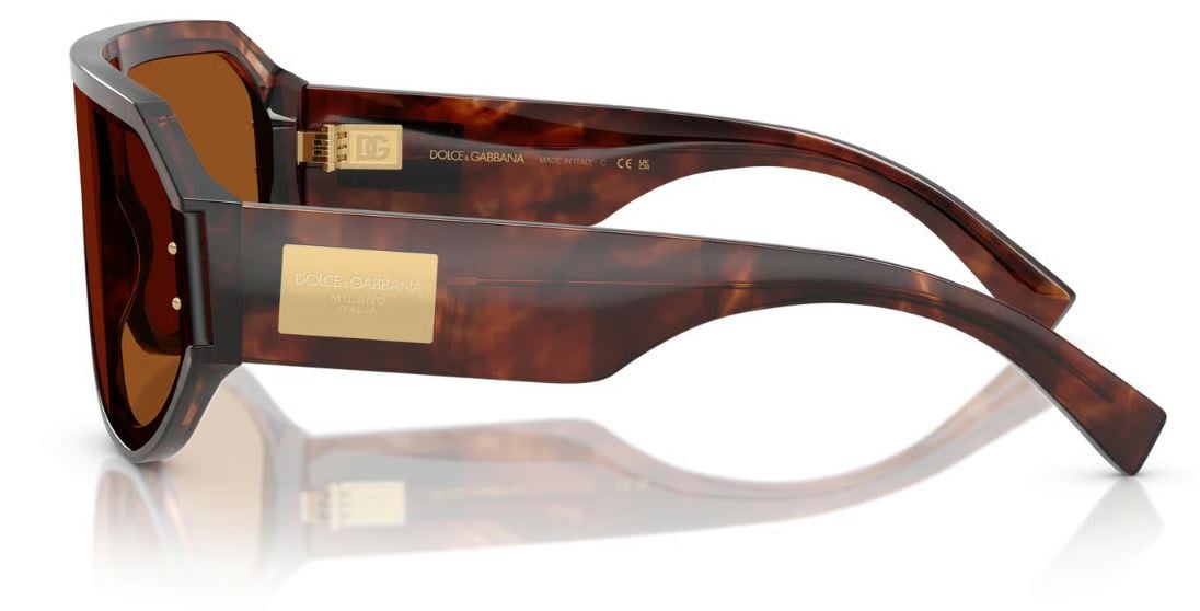 Dolce & Gabbana DG4481 Sunglasses