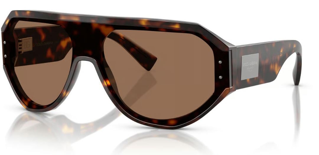 Dolce & Gabbana DG4481 Sunglasses