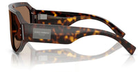 Dolce & Gabbana DG4481 Sunglasses