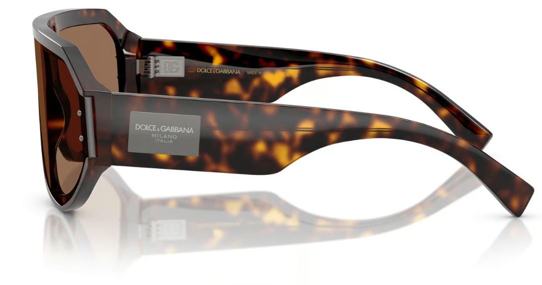 Dolce & Gabbana DG4481 Sunglasses