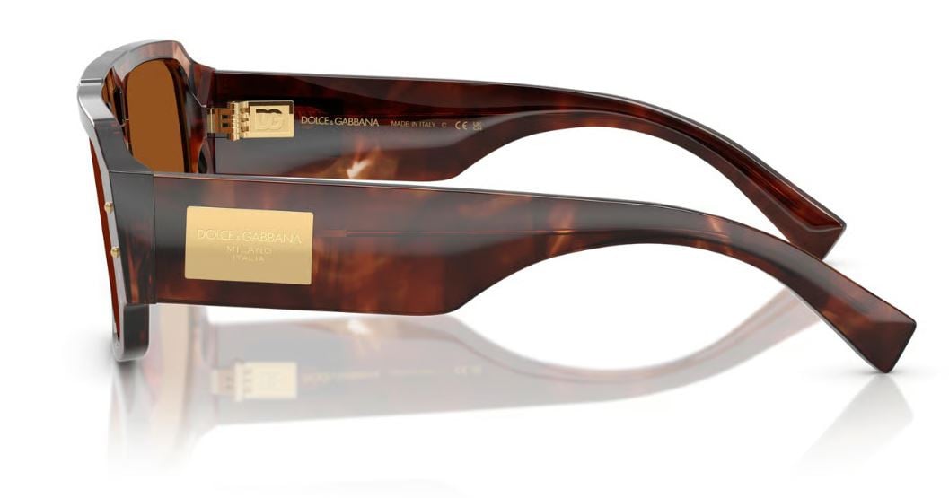 Gafas de Sol Dolce & Gabbana DG4482