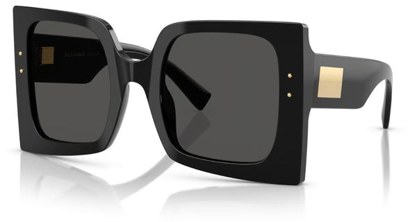 Dolce & Gabbana DG4490 Sunglasses