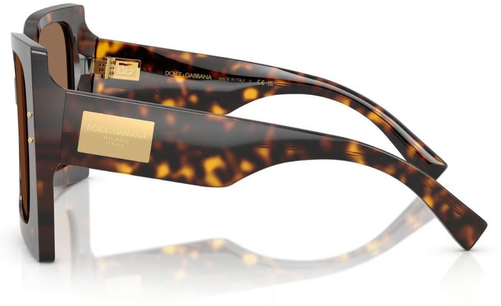 Dolce & Gabbana DG4490 Sunglasses