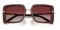 Dolce & Gabbana DG4491 Sunglasses