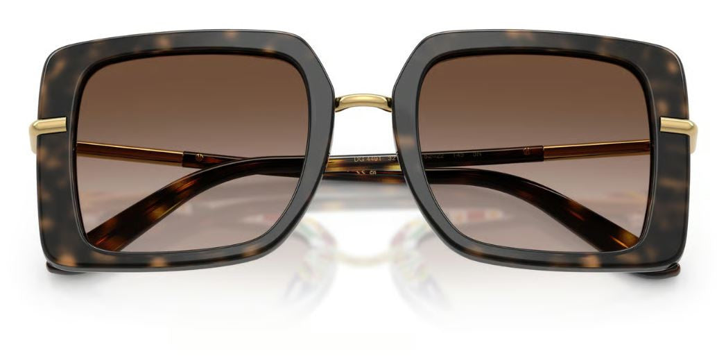 Dolce & Gabbana DG4491 Sunglasses