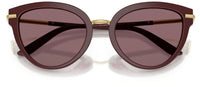 Gafas de Sol Dolce & Gabbana DG4492