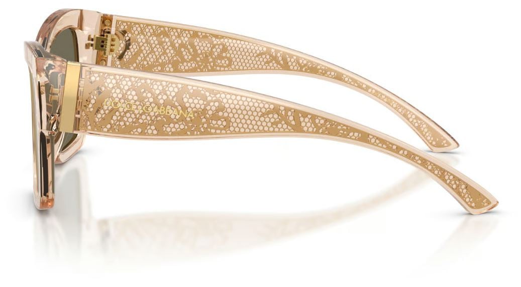 Dolce & Gabbana DG4493 Sunglasses