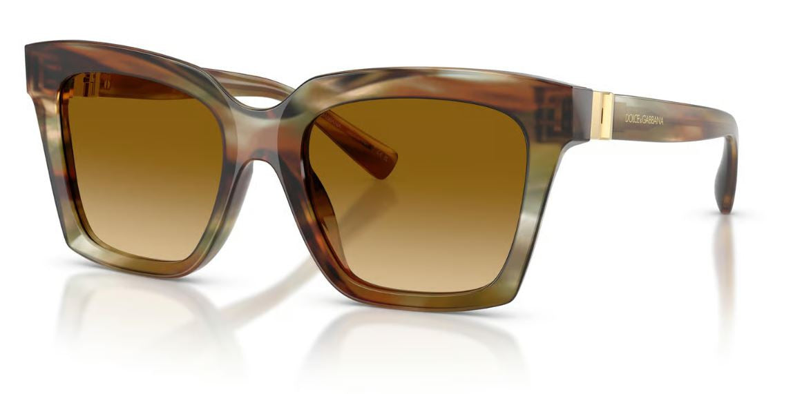 Dolce & Gabbana DG4498 Sunglasses