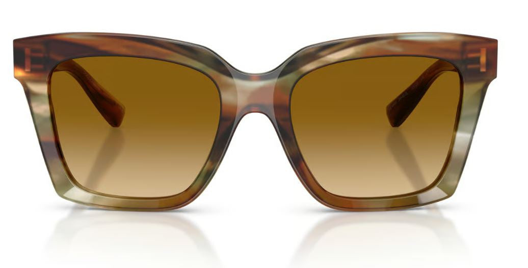 Dolce & Gabbana DG4498 Sunglasses