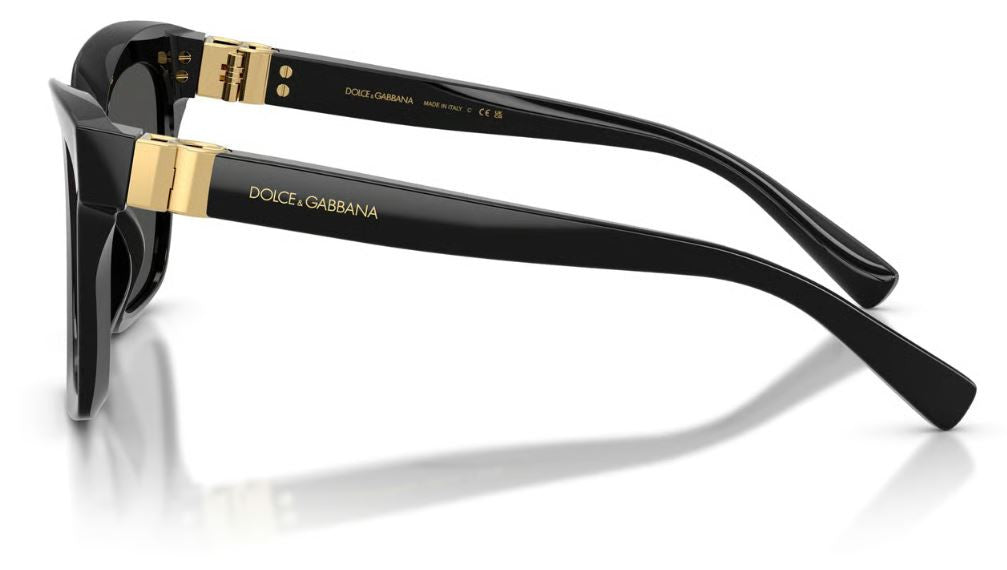 Dolce & Gabbana DG4498 Sunglasses