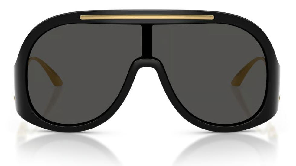 Dolce & Gabbana DG6202 Sunglasses