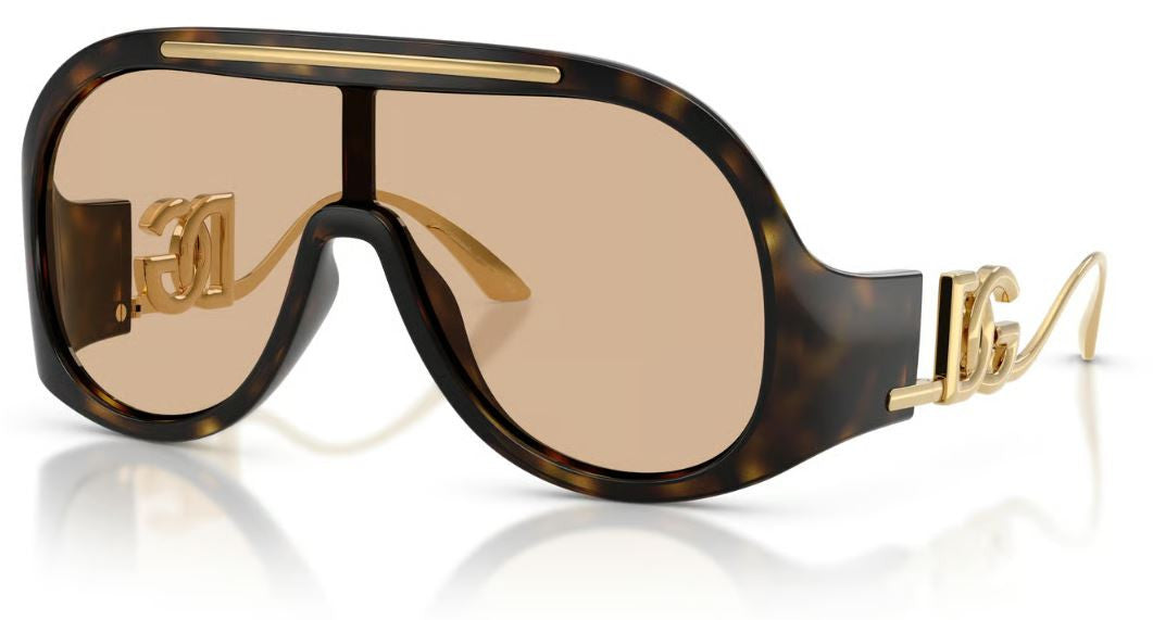 Dolce & Gabbana DG6202 Sunglasses