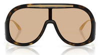 Dolce & Gabbana DG6202 Sunglasses