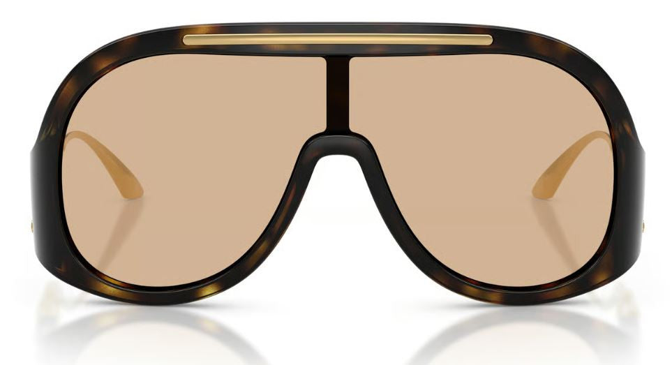 Dolce & Gabbana DG6202 Sunglasses