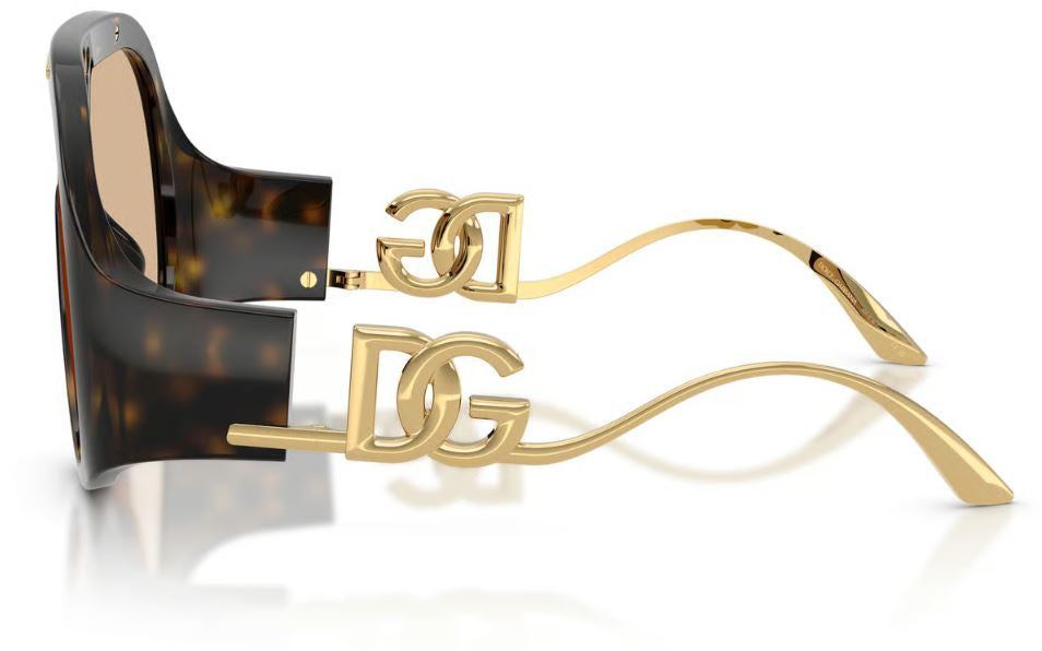 Dolce & Gabbana DG6202 Sunglasses